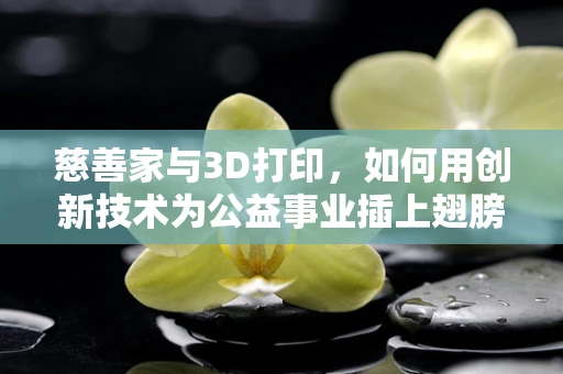 慈善家与3D打印，如何用创新技术为公益事业插上翅膀？