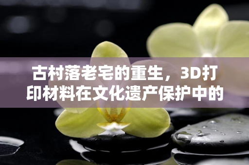 古村落老宅的重生，3D打印材料在文化遗产保护中的应用？