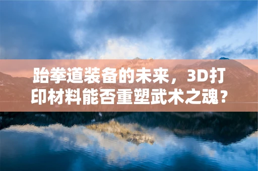 跆拳道装备的未来，3D打印材料能否重塑武术之魂？