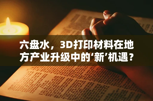 六盘水，3D打印材料在地方产业升级中的‘新’机遇？