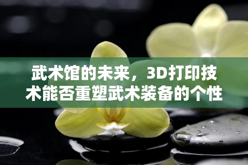武术馆的未来，3D打印技术能否重塑武术装备的个性化与定制化？
