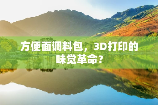 方便面调料包，3D打印的味觉革命？