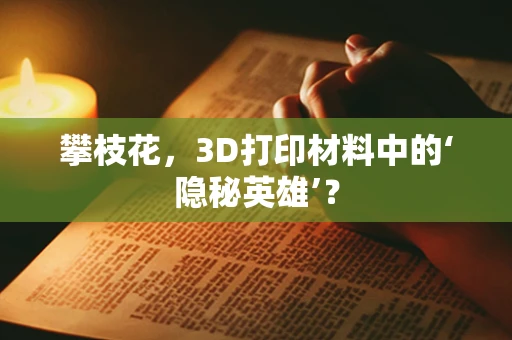 攀枝花，3D打印材料中的‘隐秘英雄’？