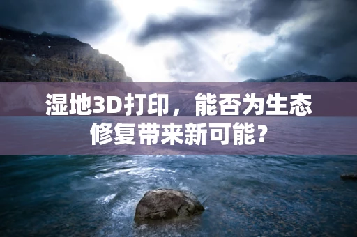 湿地3D打印，能否为生态修复带来新可能？