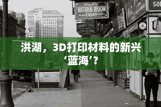 洪湖，3D打印材料的新兴‘蓝海’？