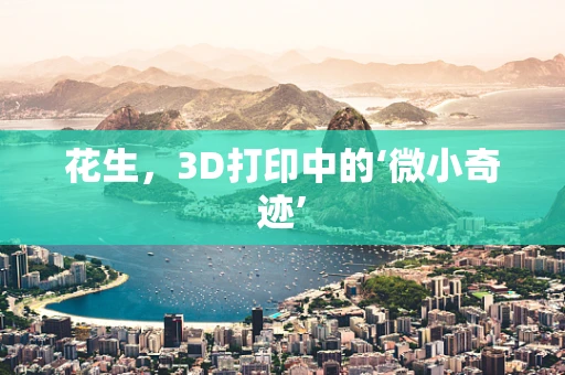 花生，3D打印中的‘微小奇迹’