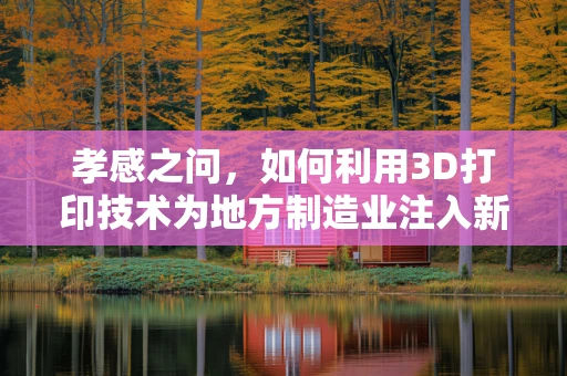 孝感之问，如何利用3D打印技术为地方制造业注入新活力？