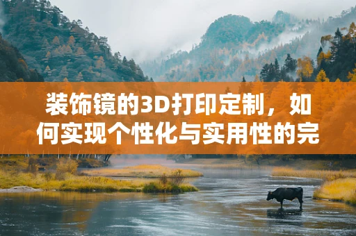 装饰镜的3D打印定制，如何实现个性化与实用性的完美结合？