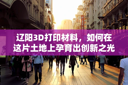辽阳3D打印材料，如何在这片土地上孕育出创新之光？
