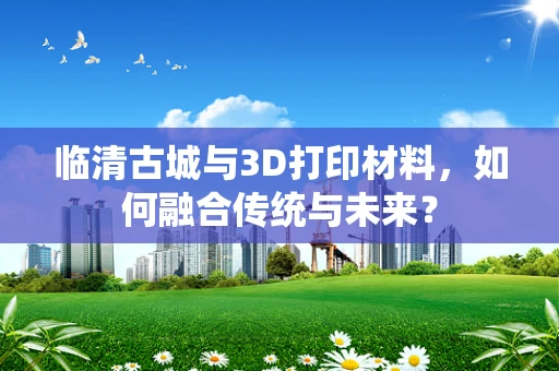 临清古城与3D打印材料，如何融合传统与未来？