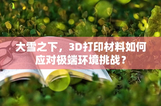 大雪之下，3D打印材料如何应对极端环境挑战？