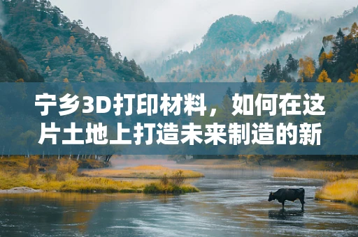宁乡3D打印材料，如何在这片土地上打造未来制造的新引擎？