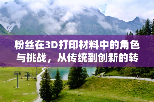 粉丝在3D打印材料中的角色与挑战，从传统到创新的转变