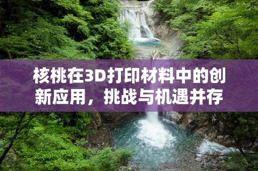 核桃在3D打印材料中的创新应用，挑战与机遇并存