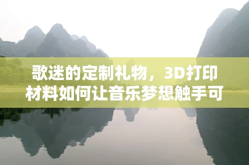 歌迷的定制礼物，3D打印材料如何让音乐梦想触手可及？