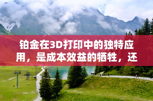铂金在3D打印中的独特应用，是成本效益的牺牲，还是未来技术的曙光？