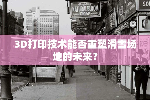 3D打印技术能否重塑滑雪场地的未来？