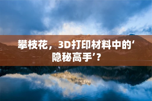 攀枝花，3D打印材料中的‘隐秘高手’？