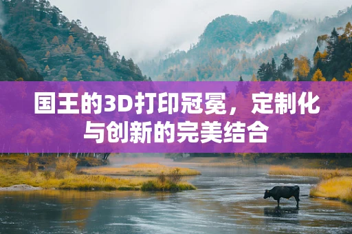 国王的3D打印冠冕，定制化与创新的完美结合