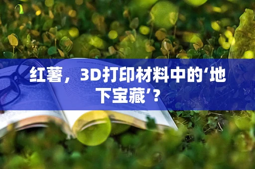 红薯，3D打印材料中的‘地下宝藏’？