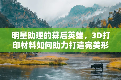 明星助理的幕后英雄，3D打印材料如何助力打造完美形象？