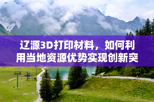 辽源3D打印材料，如何利用当地资源优势实现创新突破？
