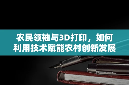 农民领袖与3D打印，如何利用技术赋能农村创新发展？