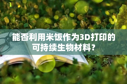 能否利用米饭作为3D打印的可持续生物材料？