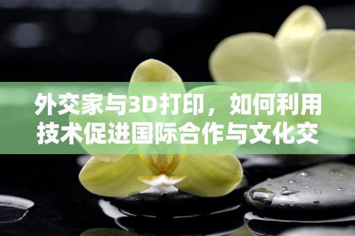 外交家与3D打印，如何利用技术促进国际合作与文化交流？