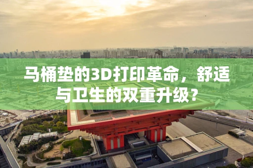 马桶垫的3D打印革命，舒适与卫生的双重升级？