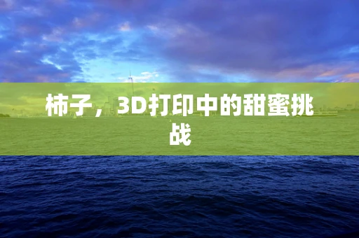 柿子，3D打印中的甜蜜挑战