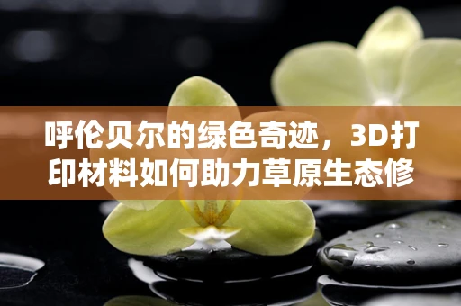 呼伦贝尔的绿色奇迹，3D打印材料如何助力草原生态修复？