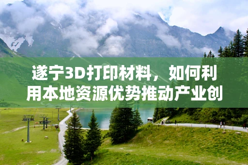 遂宁3D打印材料，如何利用本地资源优势推动产业创新？