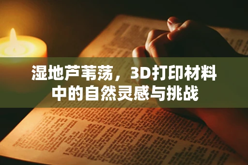 湿地芦苇荡，3D打印材料中的自然灵感与挑战