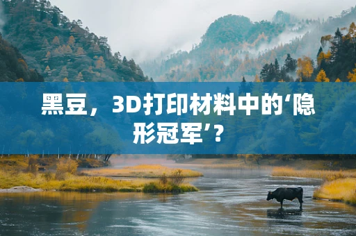 黑豆，3D打印材料中的‘隐形冠军’？