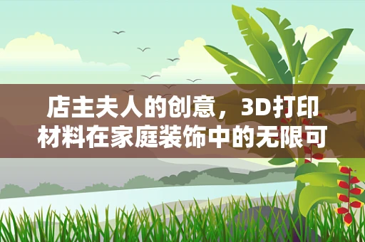 店主夫人的创意，3D打印材料在家庭装饰中的无限可能？