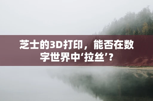 芝士的3D打印，能否在数字世界中‘拉丝’？