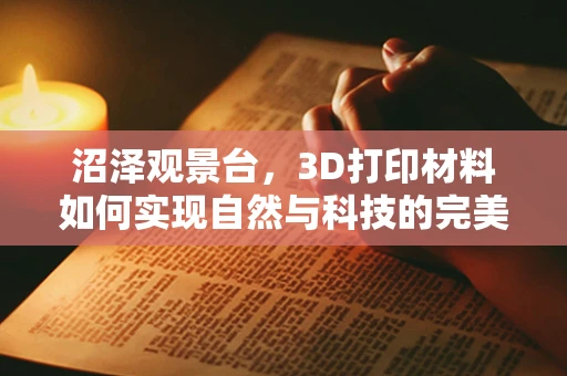 沼泽观景台，3D打印材料如何实现自然与科技的完美融合？