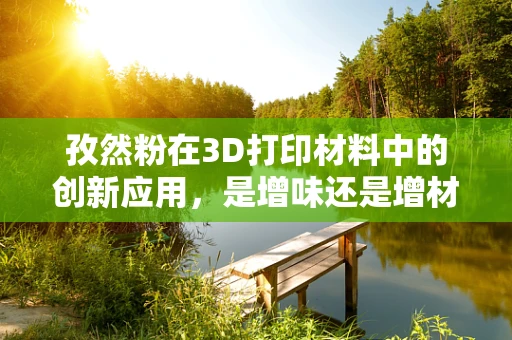 孜然粉在3D打印材料中的创新应用，是增味还是增材？