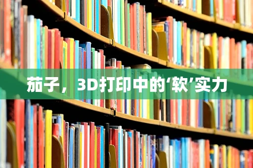 茄子，3D打印中的‘软’实力